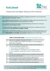 FLACSheet Employment Law