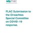 FLAC Submission to the Oireachtas Special Committee on COVID -19 response.