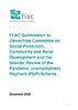 FLAC Submission to Oireachtas Committee on Social Protection, Community and Rural Development and the Islands’ Review of the Pandemic Unemployment Payment