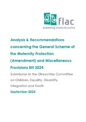 Analysis & Recommendations concerning the General Scheme of the Maternity Protection (Amendment) and Miscellaneous Provisions Bill 2024