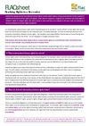 Publication cover - Factsheet on realising rights in a recession