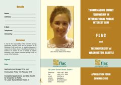 Publication cover - FLAC Fellowship 2013 final