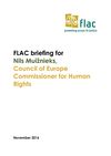 Publication cover - Final FLAC Briefing for Nils Muiznieks