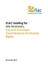 Publication cover - Final FLAC Briefing for Nils Muiznieks